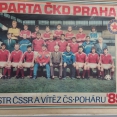 BÍLÁ TŘEMEŠNÁ- FCSK A (2017)
