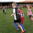 TURNAJ MINIPŘÍPRAVKY (25.4.2019)