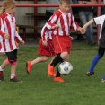 TURNAJ MINIPŘÍPRAVKY (25.4.2019)